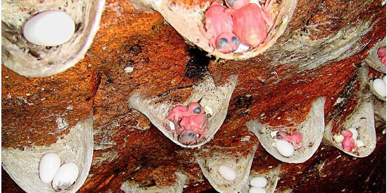 tour-dao-yen-hon-noi-nha-trang.jpg (145 KB)